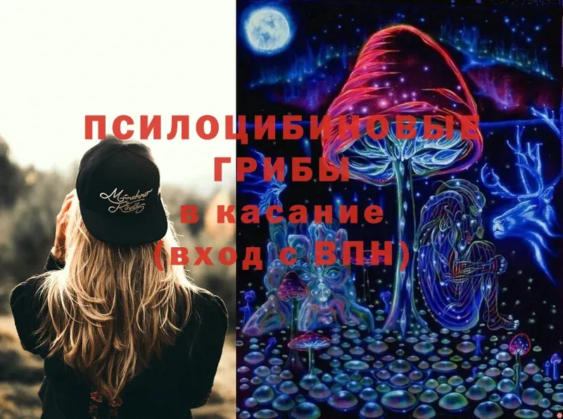 Галлюциногенные грибы Magic Shrooms Кадников